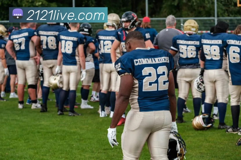 多媒体互动体验