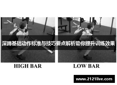 深蹲基础动作标准与技巧要点解析助你提升训练效果