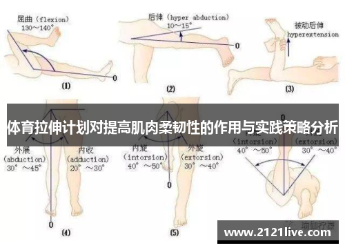 体育拉伸计划对提高肌肉柔韧性的作用与实践策略分析
